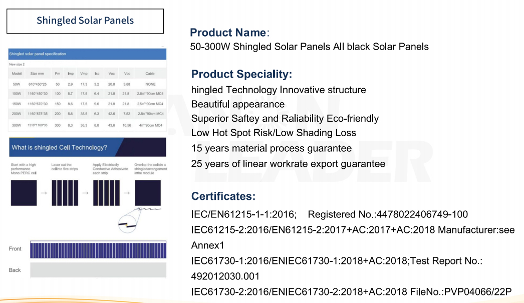 Shingled Solar Module